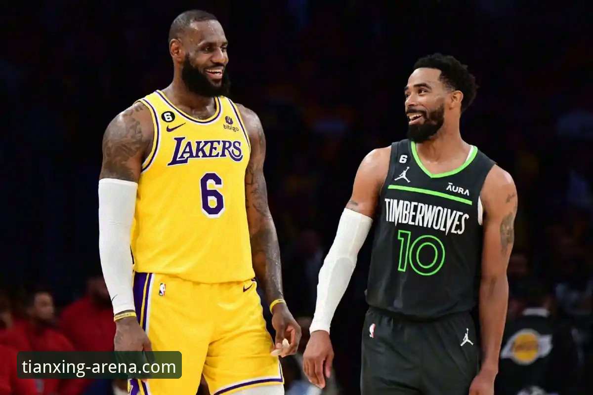 资深用户分享：如何在天行体育APP洞察湖人锁定季后赛背后的战略格局