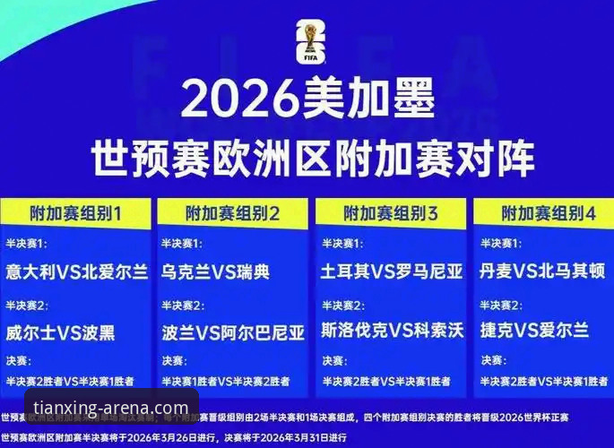 如何通过专业体育平台深度复盘欧洲区世预赛附加赛的戏剧性一夜？