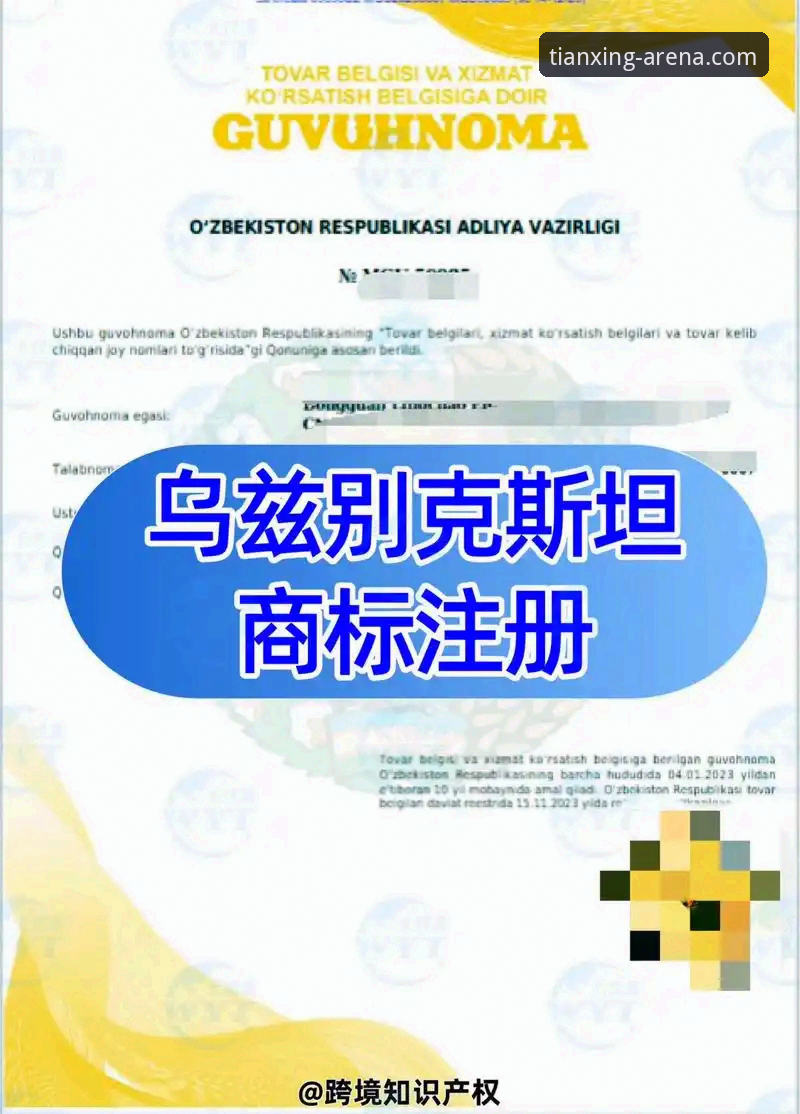 天行体育验证码收不到问题解决教程：从注册到登录的完整指南